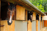 free Halfpenny Furze stable construction quotes